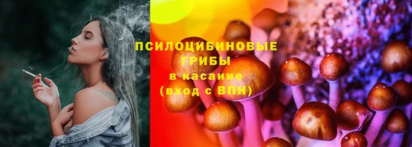 ПСИЛОЦИБИНОВЫЕ ГРИБЫ Баксан