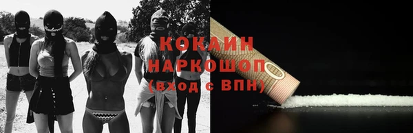 ПСИЛОЦИБИНОВЫЕ ГРИБЫ Баксан