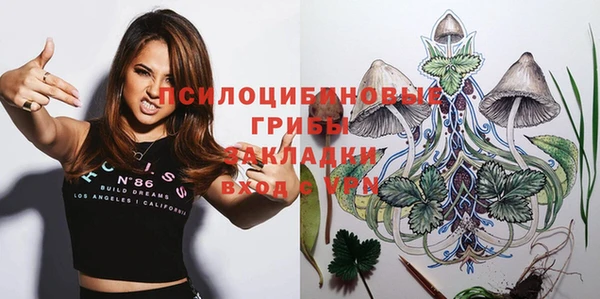 ПСИЛОЦИБИНОВЫЕ ГРИБЫ Баксан