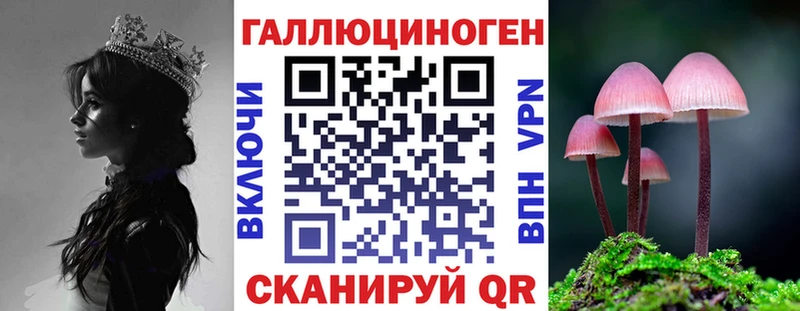 Псилоцибиновые грибы Psilocybe  где найти   даркнет Telegram  Отрадное 